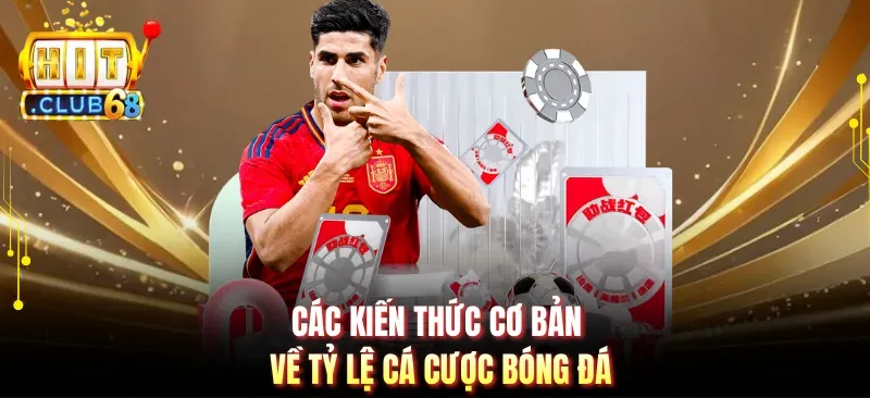 cac kien thuc co ban ve ty le ca cuoc bong da Các kiến thức cơ bản về tỷ lệ cá cược bóng đá